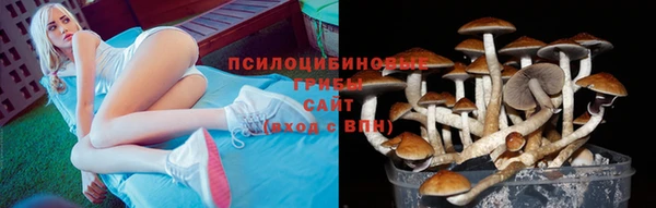 МДПВ Балахна