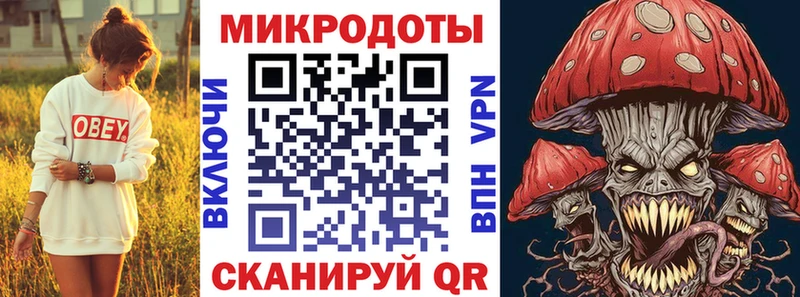 Галлюциногенные грибы Psilocybine cubensis где можно купить Ветлуга